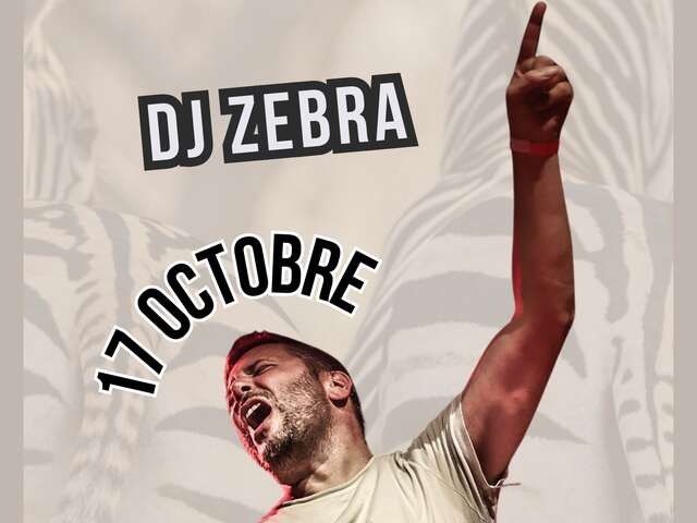 DJ ZEBRA - Concert au Rétro