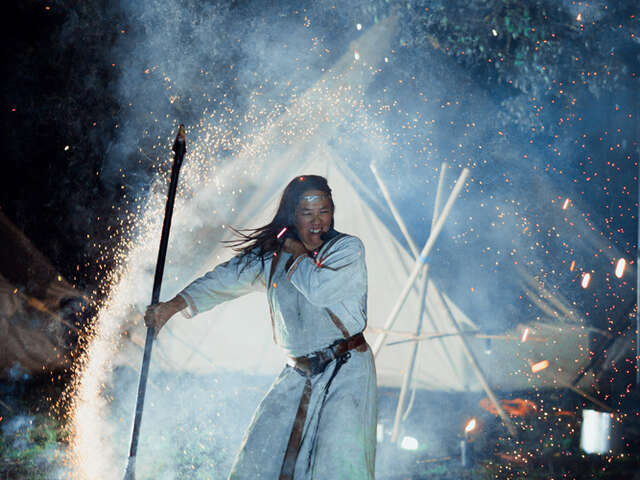 Show: De ongelooflijke zoektocht van de ArtFlex familie