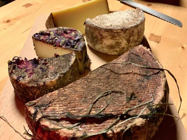 Les fondus de fromage