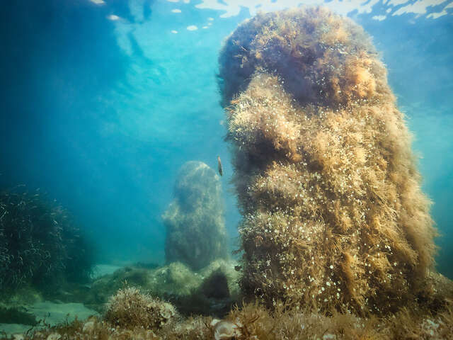 Ecomusée sous-marin de Cannes par Jason deCaires Taylor