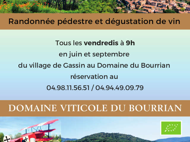 Randonnée pédestre et dégustation de vin