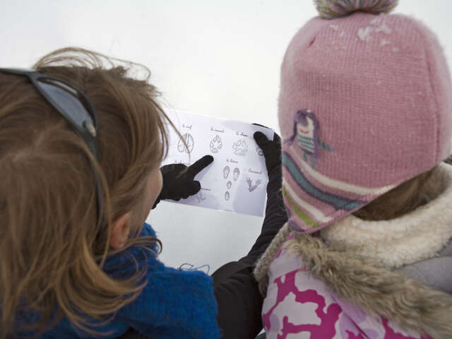 Le partage de la montagne