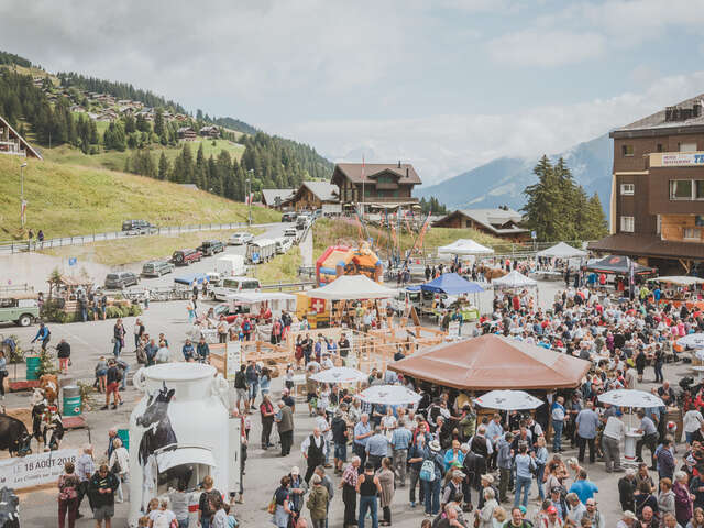 33rd Livestock Fair