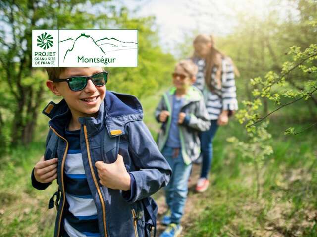 Découvrons l’écosystème forestier et sa biodiversité