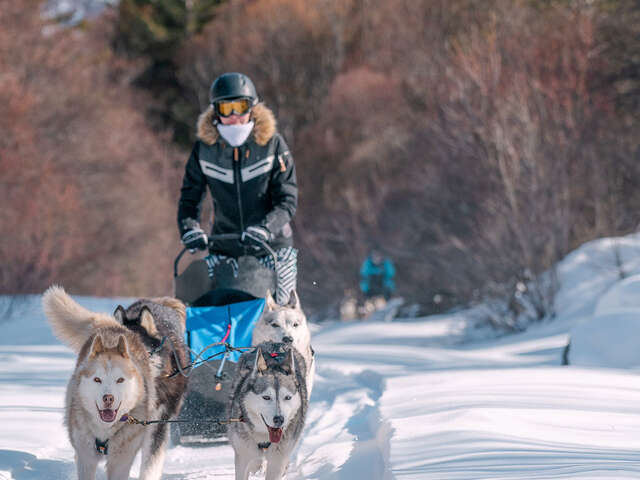 Azak Mushing