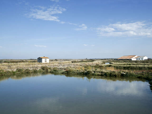 Chantier participatif dans les marais de Loix avec les écogardes