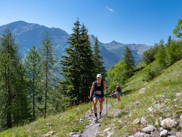 Parcours trail "Forest des Marches"