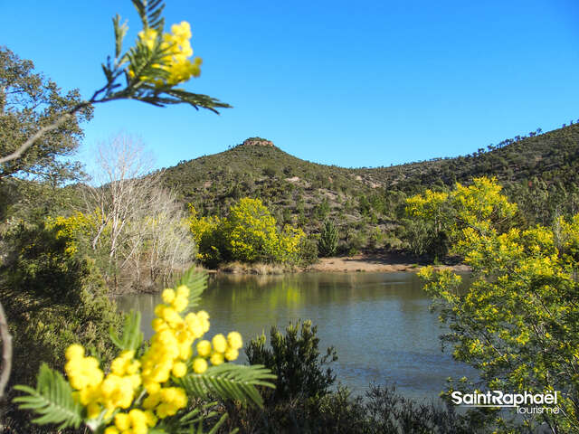 Randonnée : Tour des Lacs des Peguières