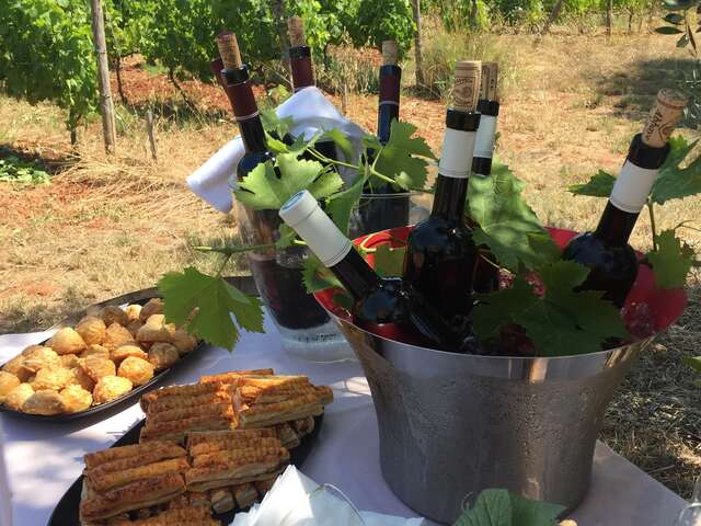 Journée Vignes & Vins à Cannes avec Planaria