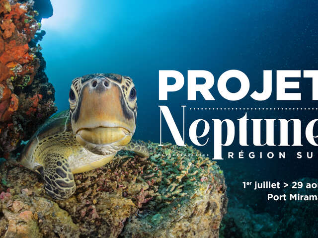 Projekt Neptun: Eine mediterrane Unterwasser-Odyssee, die für alle zugänglich ist