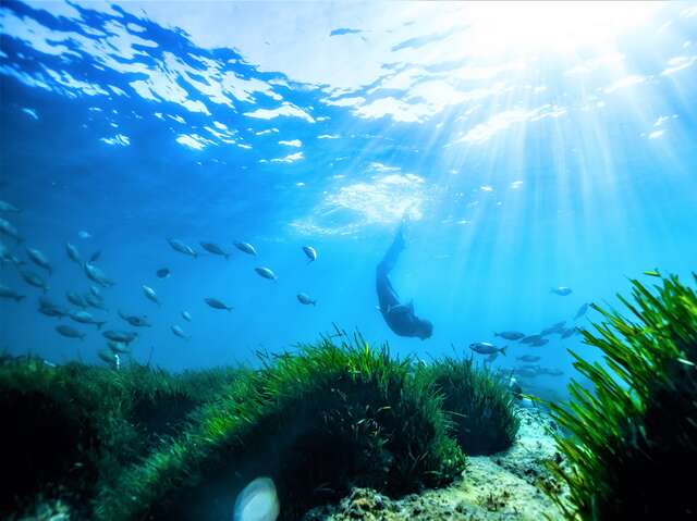 Sentier sous-marin de Portissol