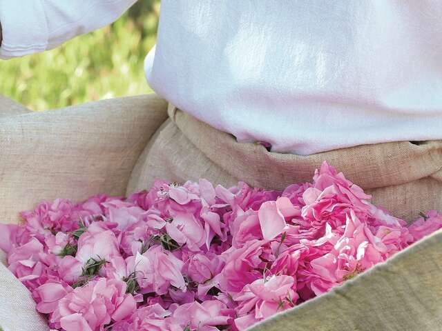 De la fleur à l’atelier : Une expérience parfum signée Fragonard et Pure Signature