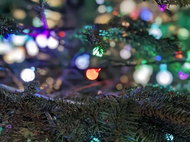 Noël féérique quartier Prado Paradis