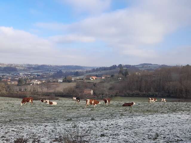 Ferme du Vieux Bourg