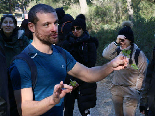 Naturopathic hike and poetry in Calanque of Sugiton (half-day)