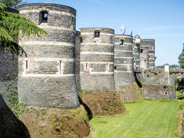 Visite guidée de la cité historique