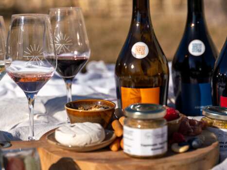 dégustation de vins, huiles d'olive et planche gourmande aux Terrasses d'Adrien