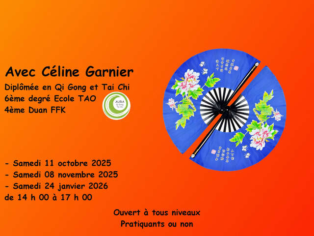 CLUB DE LOISIRS SPORTIFS CHÂTILLONNAIS