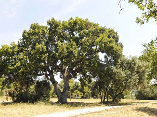 Parc champêtre