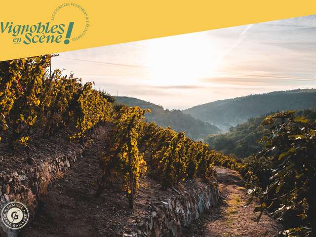 Rando Wine au Domaine Gaillard