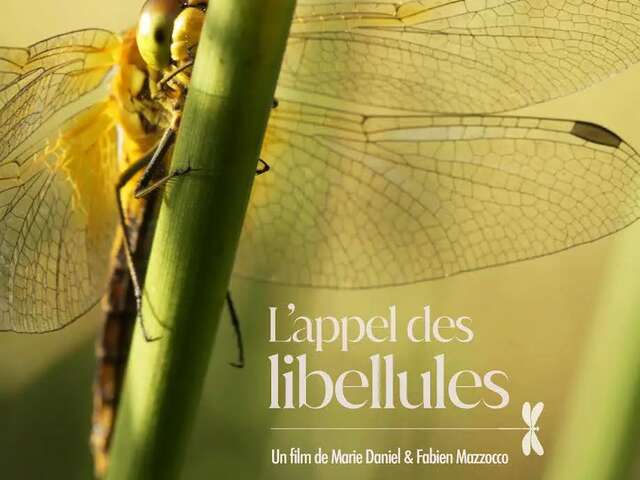 L'appel des libellules : film en refuge