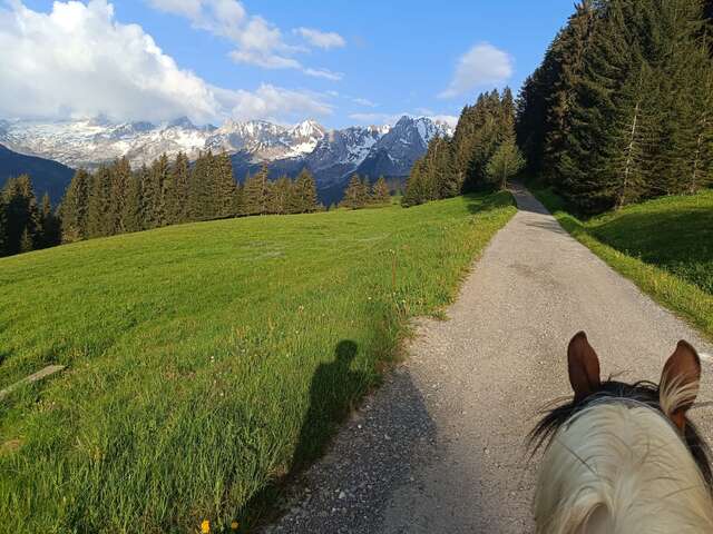 Equit'Horizon
