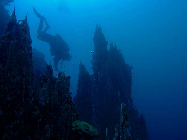 Mobula Diving : Centre - École de plongée