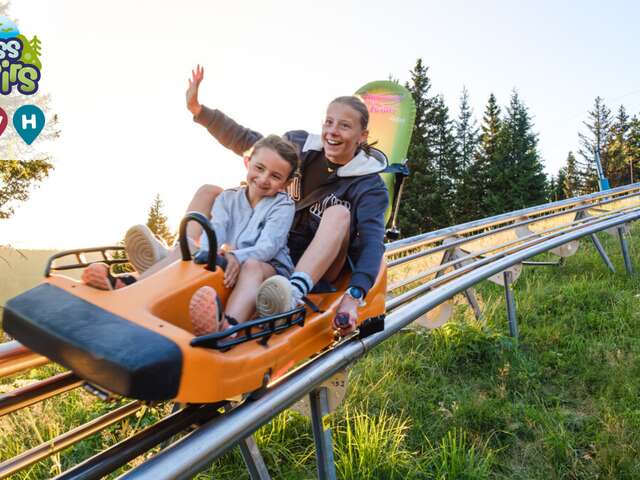 Mountain Twister sledge