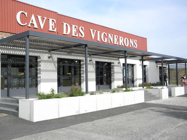 Visite de la cave - Les Vignerons de Roaix Séguret