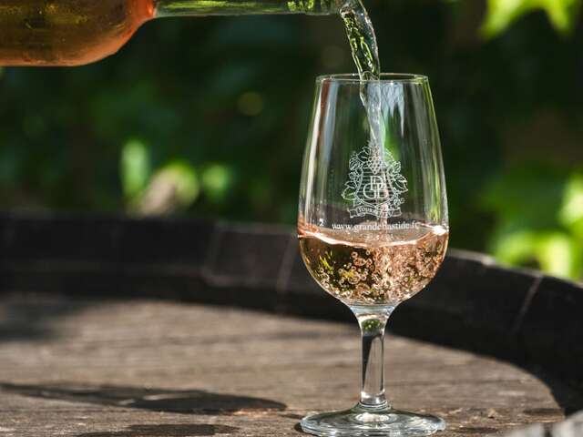 Dégustation à l'aveugle et visite de la cave au Domaine Grande Bastide