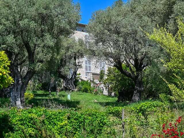 Le jardin du Musée Renoir  - Domaine des Collettes