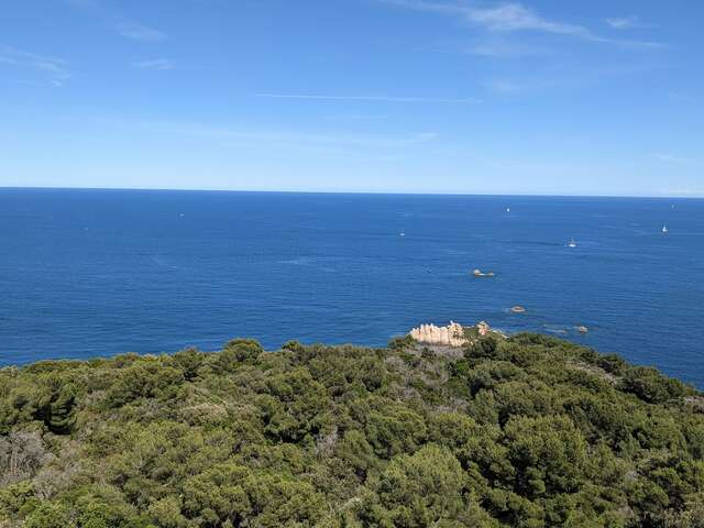 Chantier Nature : Nature in its natural state