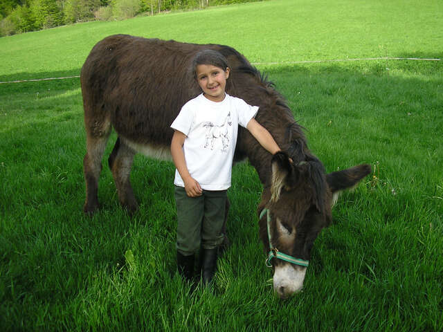 Balades avec des ânes - Ferme équestre Le Rocher