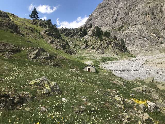 Randonnée à la découverte des marmottes