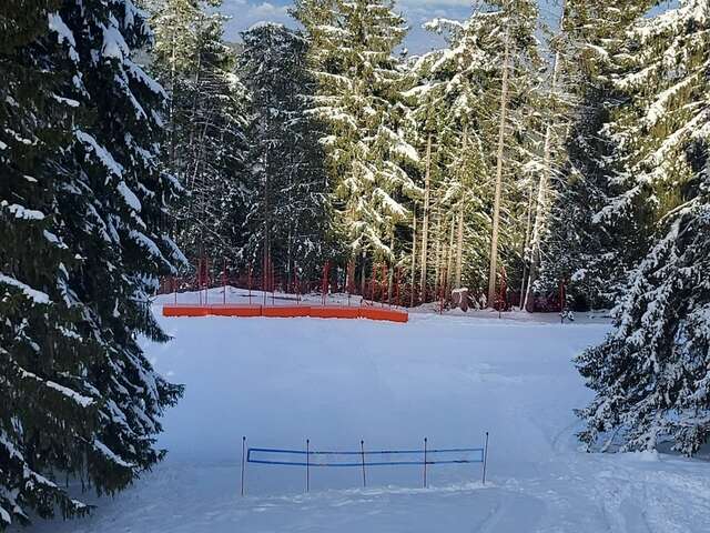 Pistes de luge au Collet