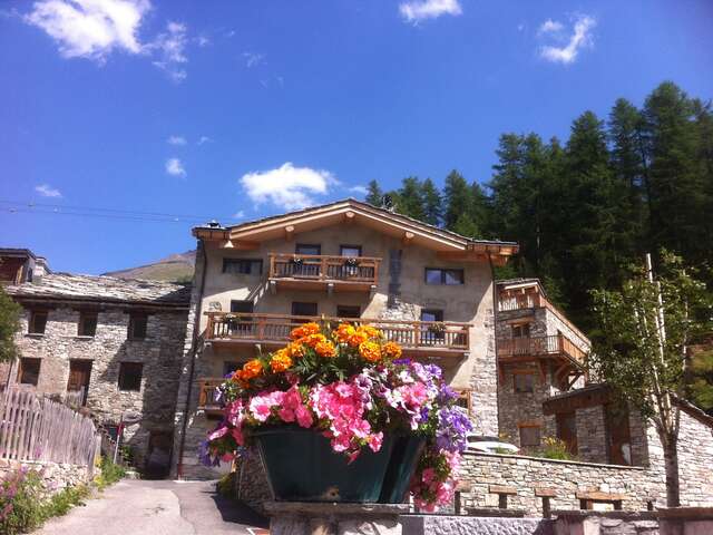 Chalet Hôtel du Fornet