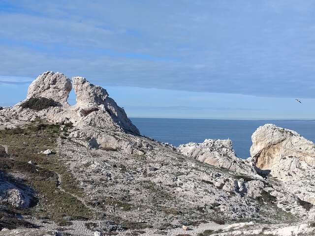 Randonnée sur l'île du Frioul