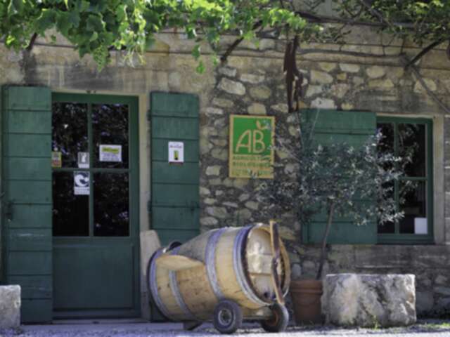 Discover the know-how of the Alpilles: Mas de Gourgonnier