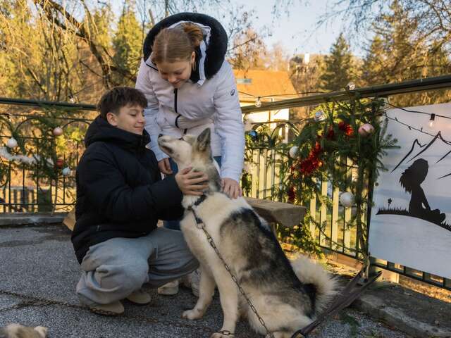 Passeggiata con il cane di fronte al Monte Bianco