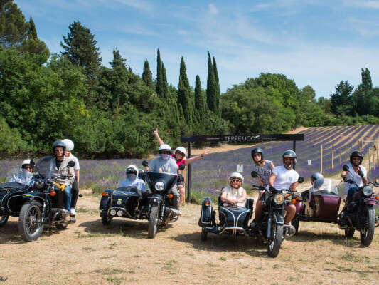 Circuit des lavandes et vignobles en sidecar : 2h,4h ou 6h (juin à septembre)