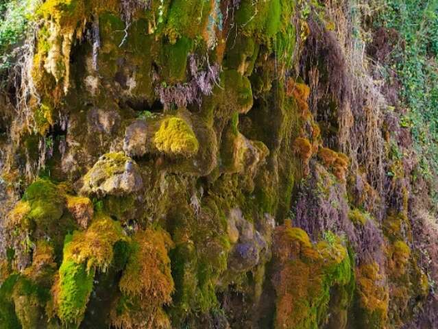 Le Grand Tuf de Maliver