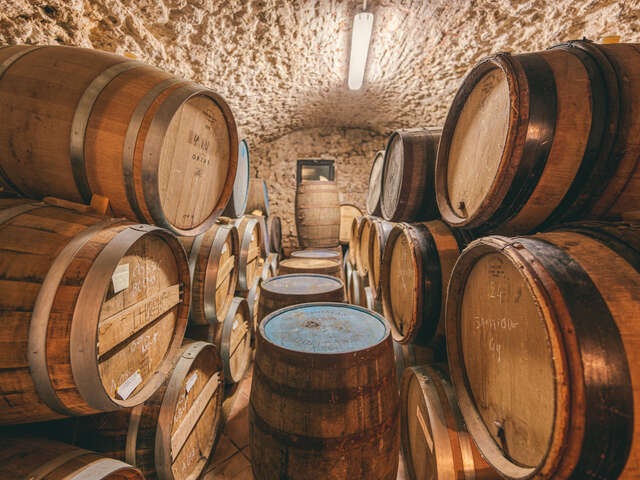 Visite Expert Rhum à la Maison Ferroni