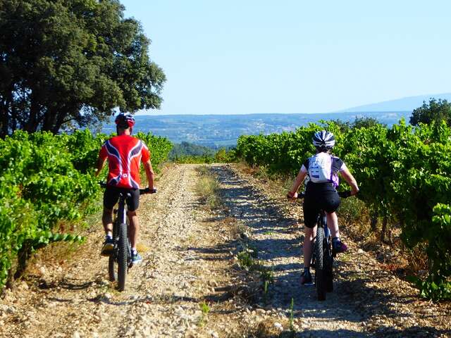 Bédoin et les contreforts du Ventoux : Balade accompagnée à vélo