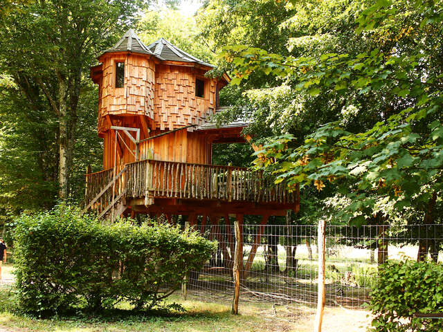 Cabane perchée Pigeonnier - DDLD