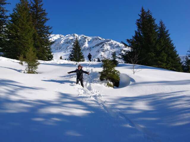 Snowshoe hike - Mountain fauna adapting to winter