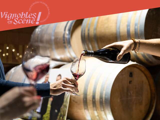 Visite et dégustation au Domaine Pichon