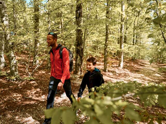 ST-LEGER-DU-VENTOUX - Sentier botanique de soleil et d'eau