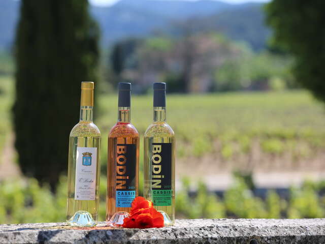 Cassis Bodin: Découverte du vignoble AOC Cassis et dégustation 5 vins