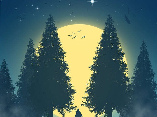 Après-midi Loups Garous à la médiathèque