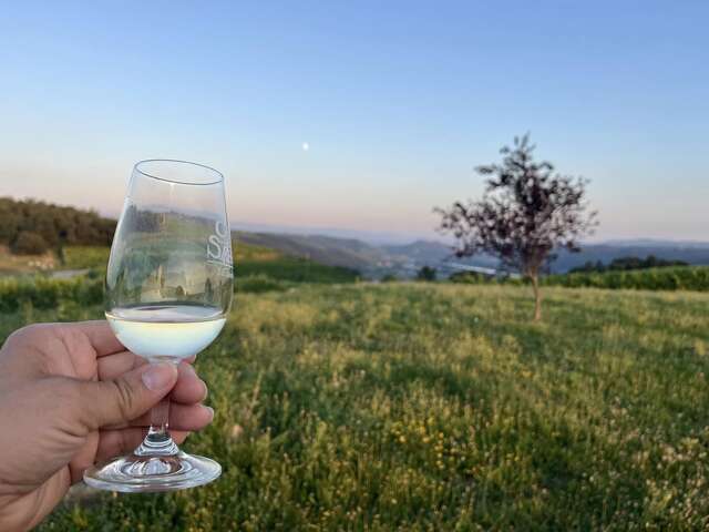 Apéro sunset dans les vignes (Domaine L. Bertrand)